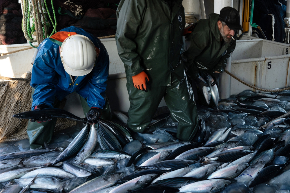 Balıkçı teknelerinin "Boğaz" mesaisi