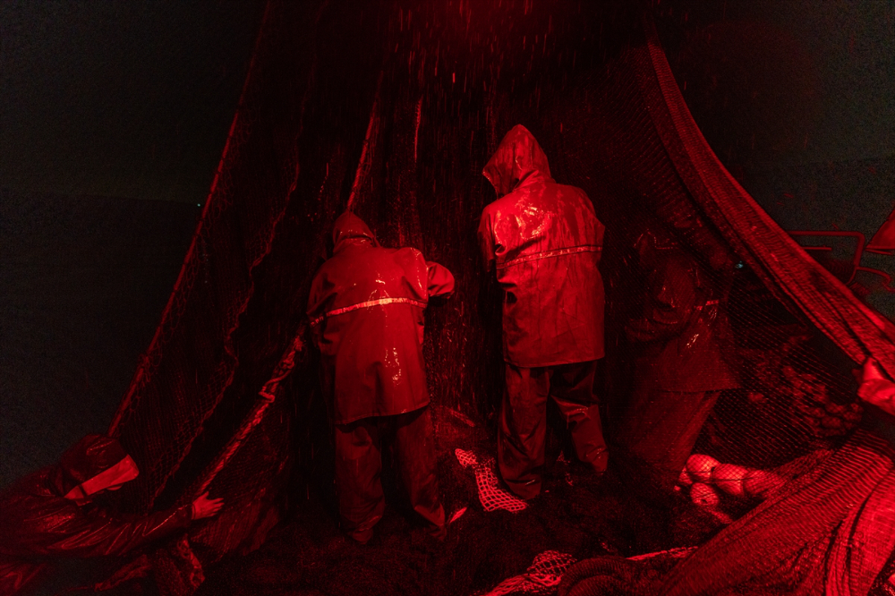 Balıkçı teknelerinin "Boğaz" mesaisi