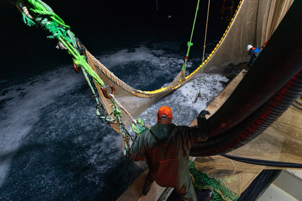 Balıkçı teknelerinin "Boğaz" mesaisi