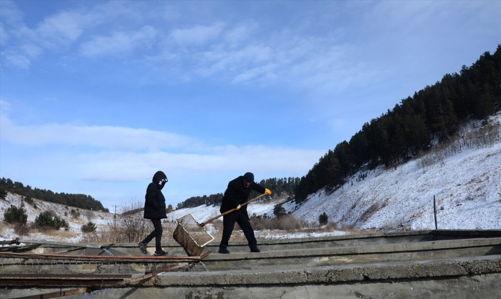 Kars'ta çiftliklerdeki balık havuzları buzla kaplandı