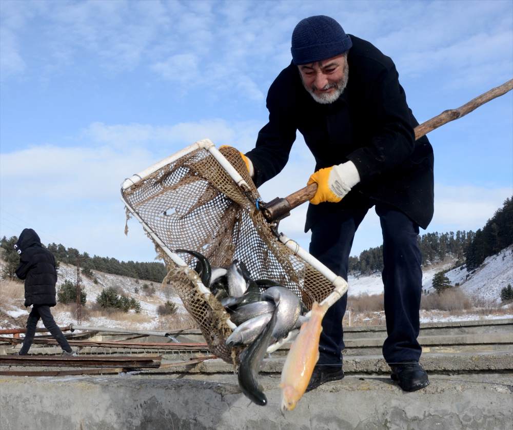 Kars'ta çiftliklerdeki balık havuzları buzla kaplandı