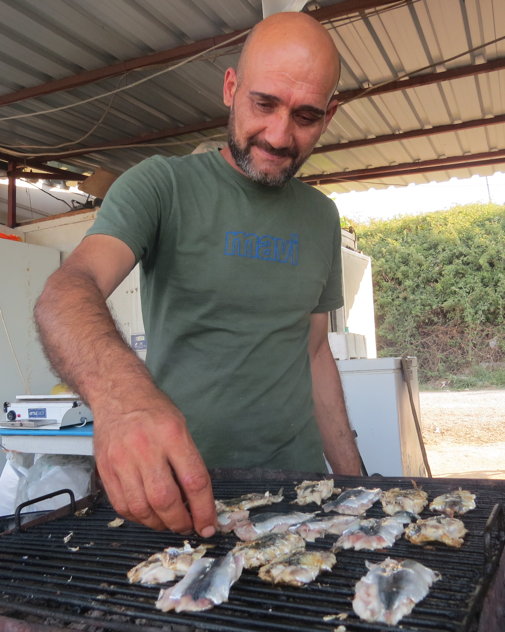 Koruköy Yalova Su Ürünleri Kooperatifi