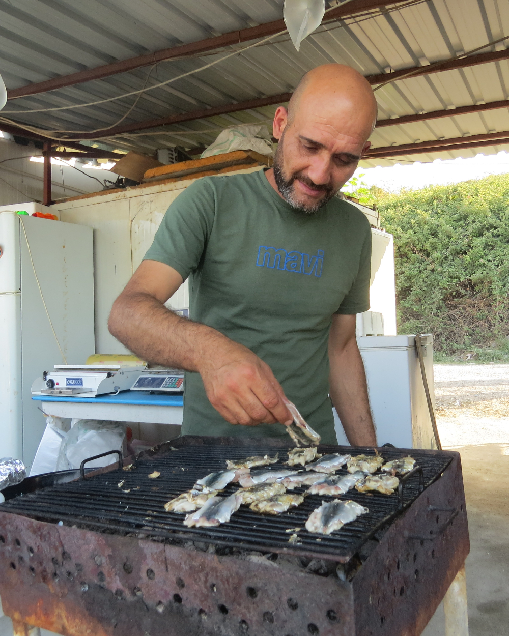 Koruköy Yalova Su Ürünleri Kooperatifi