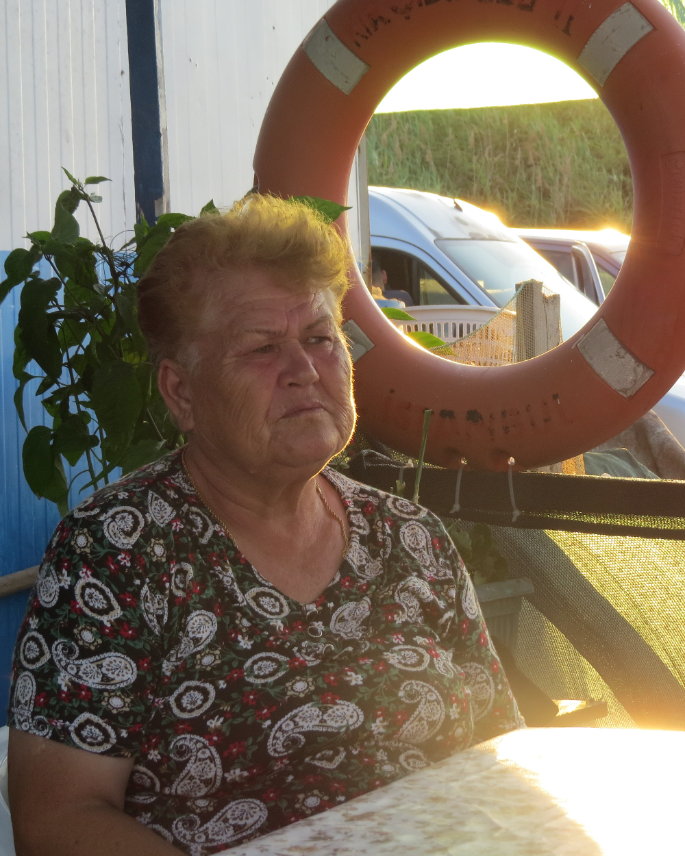 Koruköy Yalova Su Ürünleri Kooperatifi