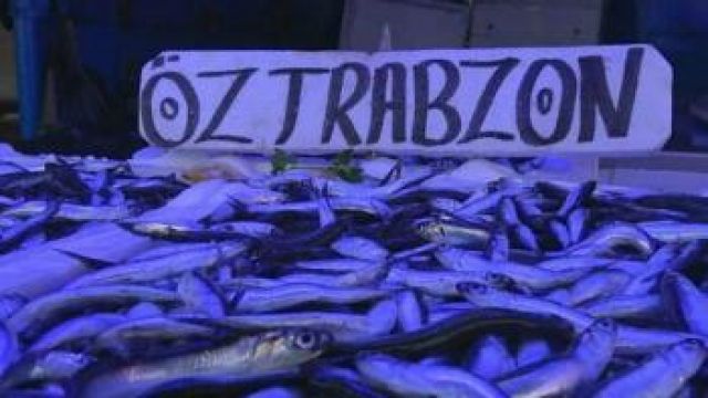 Trabzon'da balık fiyatları
