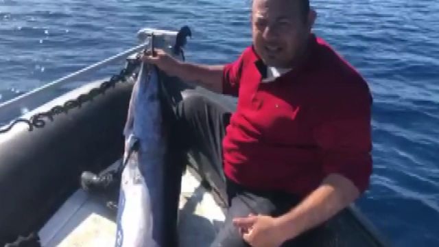 40 kiloluk dev kılıç balığı görenleri şaşırttı