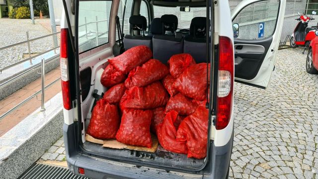 Şüphe üzerine durdurulan araçta 400 kilo canlı midye yakalandı