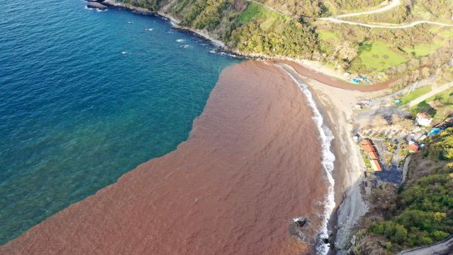 Zonguldak'ta denizin rengi çamura döndü