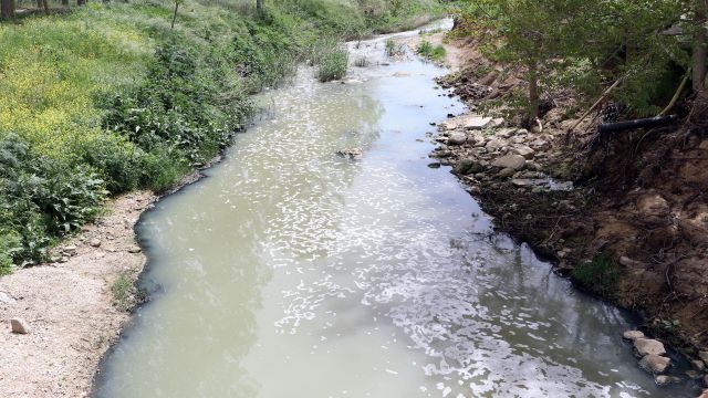 Çimendere'de toplu balık ölümleri tedirgin etti