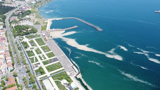 Tekirdağ'da deniz salyası nedeniyle balıkçılar denize açılamıyor