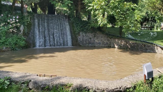 Deredeki inşaat suyun rengini değiştirdi, balıklar öldü