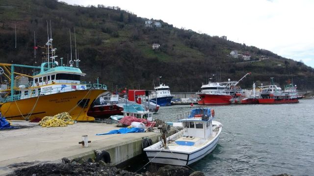 Sakarya ve Düzce'de balıkçılar ağlarını denize atmaya hazır