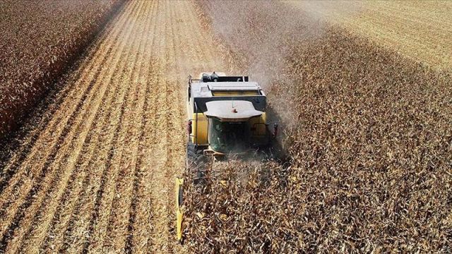 Tarım ÜFE temmuzda aylık bazda yüzde 1,34, yıllık bazda yüzde 22,8 arttı