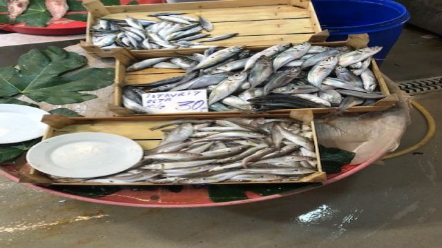Halden restorana balık fiyatları