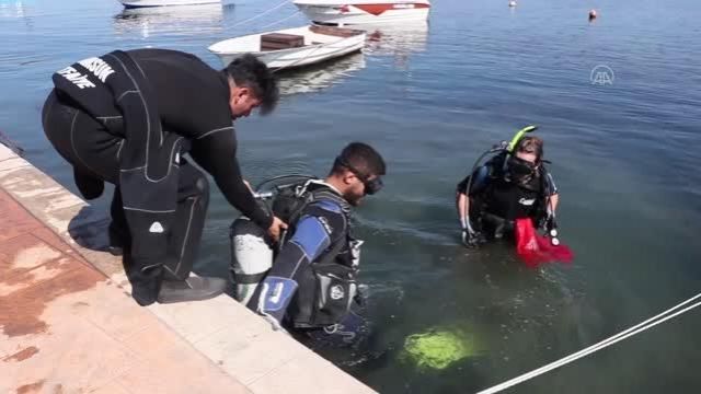Samsun'da balık ve kurbağa adamlar denizde, gönüllüler ise kıyıda temizlik yaptı