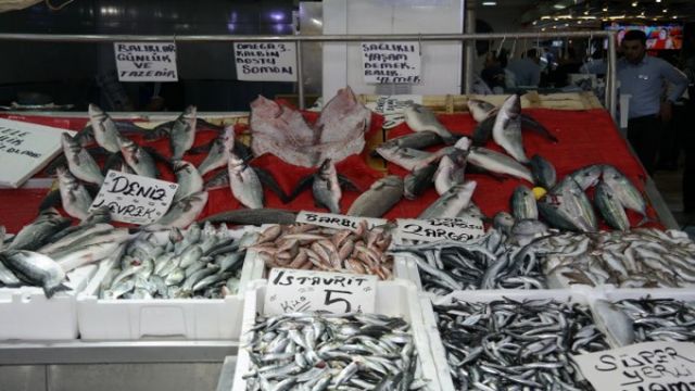 Samsun'da balık fiyatları