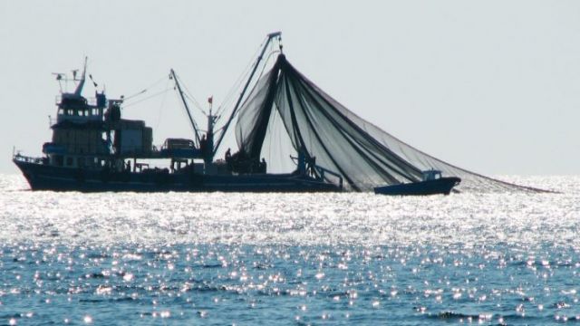 Somali, kara sularında kaçak balıkçılığa izin vermeyeceğini açıkladı
