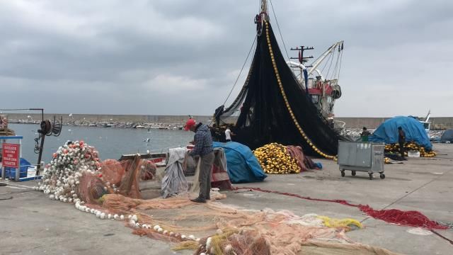 Batı Karadenizli balıkçılar çinekop ve mezgitten umutlu