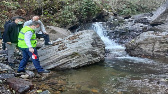 Giresun'da selde zarar gören alabalık popülasyonu için derelere 25 bin yavru salındı