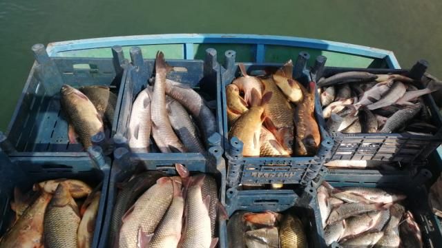 Malatya'da av yasağını ihlal eden 7 kişiye 15 bin 892 lira ceza