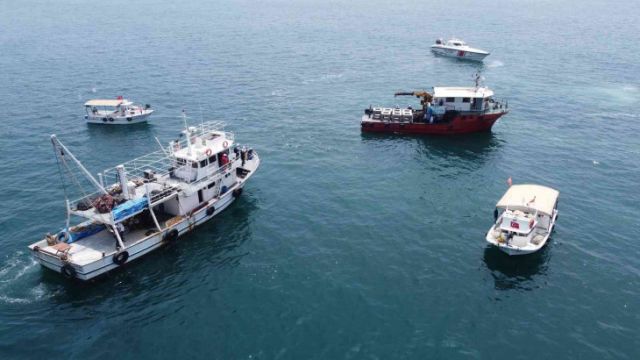 Mersin'de balık popülasyonunun gelişmesi için denize yapay resifler bırakıldı