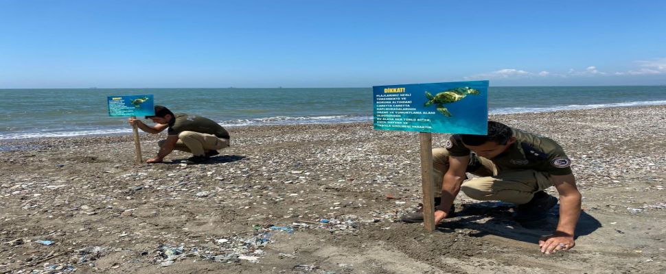 Mersin'de caretta carettaların yuva yaptığı sahile uyarı levhaları yerleştirildi