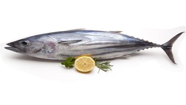 Gıda Pusulası'ndan sağlıklı bir öğün için ton balığı ve deniz ürünleri tavsiyesi