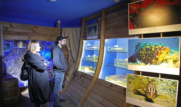 Antalya Deniz Biyoloji Müzesi'ndeki balıklar yenilenecek