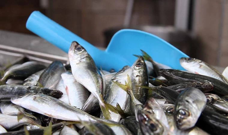 Tekirdağ'da ramazan ayında balığa talep arttı