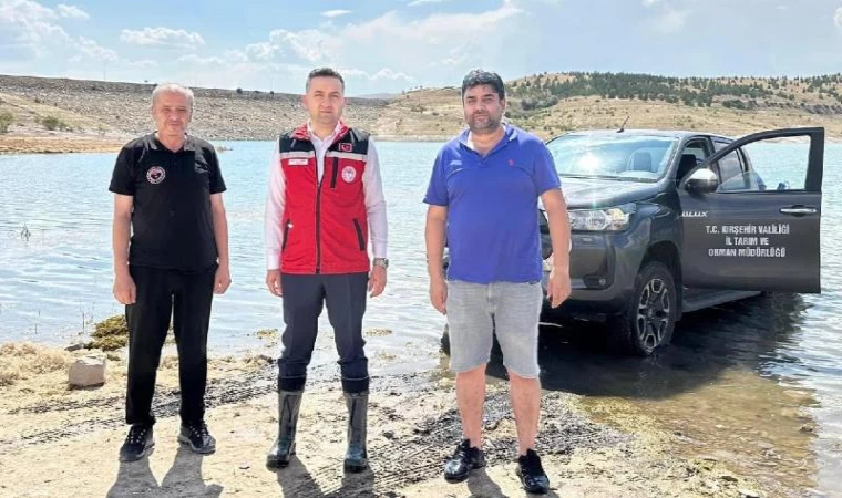 Kırşehir'de göletlere 1 milyon 394 bin sazan yavrusu bırakıldı