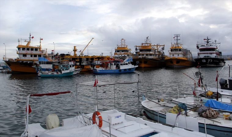 Karadenizli balıkçılar yeni sezonda palamuttan umutlu