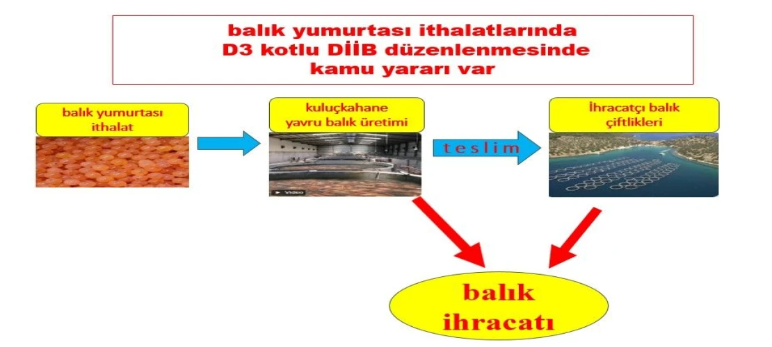Balık Yumurtası İthalatına İlişkin Görüş : Şükrü Güven