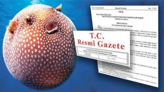 Bakan Pakdemirli : "Balon balığı avcılığını destekleme kapsamına aldık"