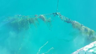 Beyşehir Gölü'nden 470 hayalet ağ çıkarıldı