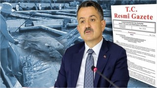 Damızlık Alabalığa destek devam ediyor