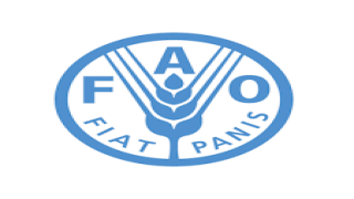FAO uyardı Akdeniz ve Karadeniz'deki avcılığın 230 bin tonu ıskarta