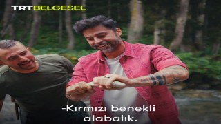 Kırmızı “benekli” için tepki…