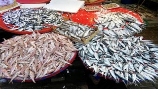 Kısıtlamanın son gününde de tezgahlarda balık eksik olmadı