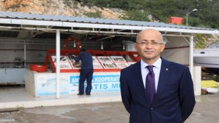 Kötü hava koşulları balon balığı avına olumsuz yansıdı