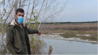 Seyhan Nehri'nde Balık ölümleri yaşanıyor