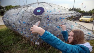 'Çevreci orfoz'un mesajı Asya ve Avrupa'ya ulaştı