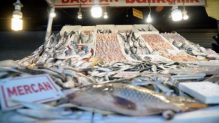 Havalar iyi gitti, balık fiyatları artmadı