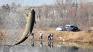 Kısıtlamadan çıkan amatör balıkçılar, Kızılırmak'a koştu