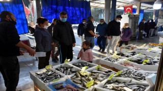 Marmaris'te 420 kilo 'Ege hamsisi' 4 saatte tükendi
