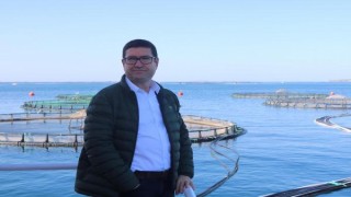 Muğla'dan geçen yıl 78 ülkeye balık ihraç edildi