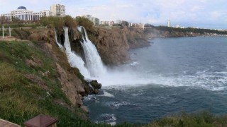 Şelalede ölen balıklar denizde martılara yem oldu