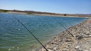 Adana'da yasak malzemeyle avlanan 3 balıkçıya 1635 lira ceza verildi