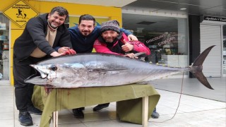 Amatör balıkçı, oltayla 173 santim boyunda orkinos yakaladı