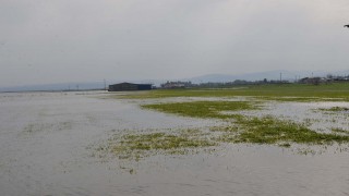 Amik Ovası’nda sular çekilmeye başladı