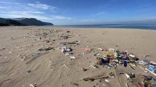 Bartın'da çöp sahile vurdu